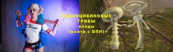 трава Арсеньев
