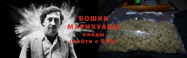трава Арсеньев