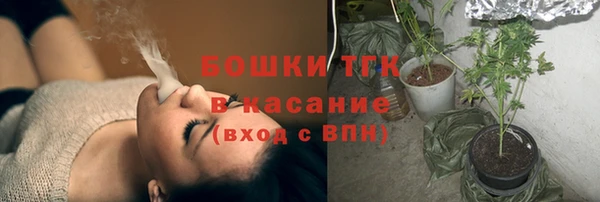 PSILOCYBIN Аркадак