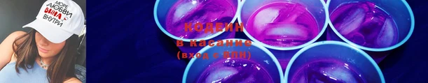 PSILOCYBIN Аркадак