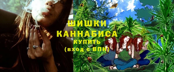 PSILOCYBIN Аркадак