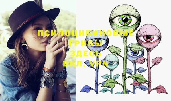 PSILOCYBIN Аркадак